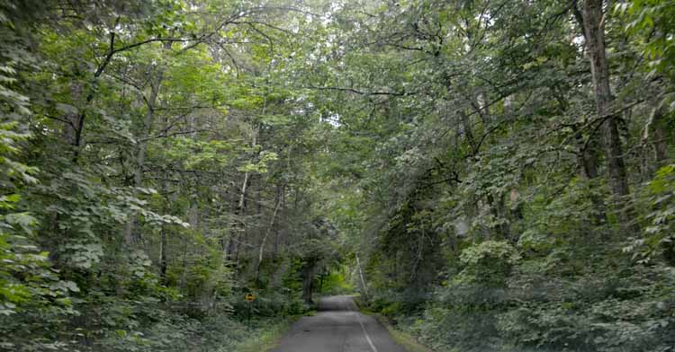 the wilderness drive